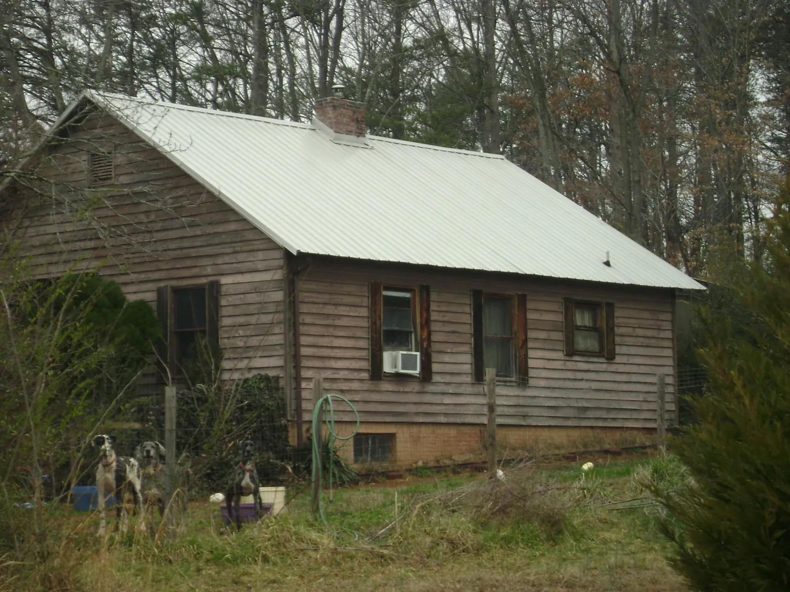 White metal roof on an old wood sided farmhouse, from a Asphalt Shingle Roof Repair job in French Lick